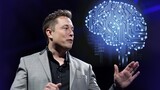 Neuralink nel cervello di un essere umano a breve? Elon Musk dovrà attendere
