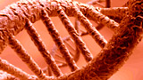 Stanford: informazione binaria riscrivibile nel DNA di un batterio
